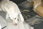 DSC07443.JPG