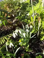 20190222_154328.webp