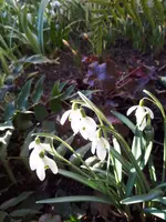 20190222_154050.webp