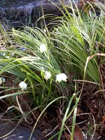 20190222_154641.webp