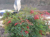 IMG_7688.webp