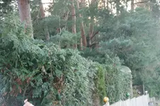 DSC07449.webp