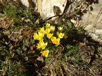 DSC00104.webp