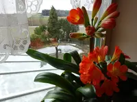 DSC00112.webp