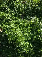20190224_132007.webp