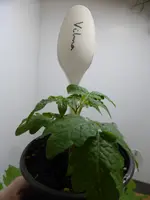 P1110911.webp