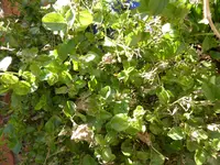P1110920.webp
