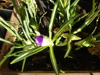 P1110933.webp