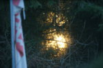 DSC07459.JPG