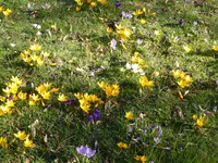 P1110840.webp