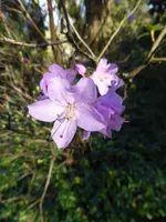 P1110871.webp