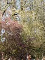 P1110880.webp