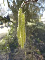 P1110884.webp