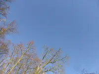 P1110885.webp