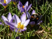 P1110888.webp