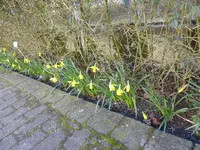 P1110891.webp