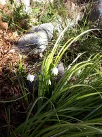 20190224_113158.webp