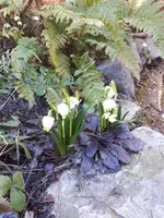 20190224_113125.webp