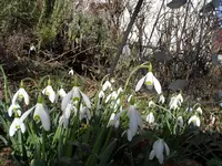 SAM_0658.webp