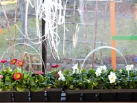 image003.webp
