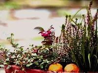 image008.webp