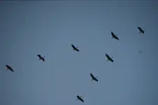 DSC07460.JPG