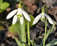 image001.webp