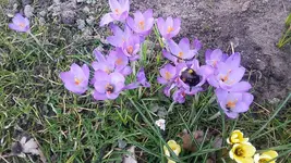 20190226_141123.webp