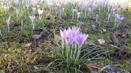 20190224_123759.webp