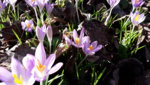 20190224_124020.jpg