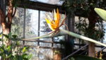 20190224_134410.jpg