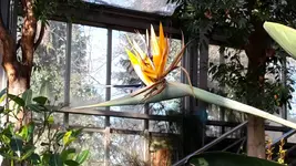 20190224_134410.webp