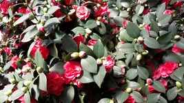 20190224_141511.webp