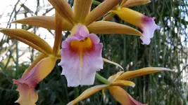20190224_143755.webp