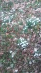 20190226_170332.jpg