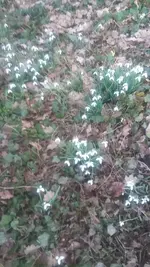 20190226_170332.webp
