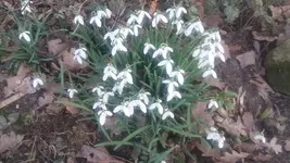 20190226_170227.webp