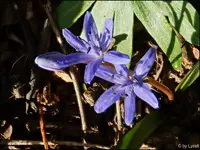 c049.webp