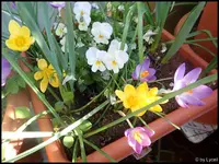 c057.webp