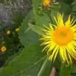 1551289973100.webp