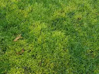 20190228_093623.webp