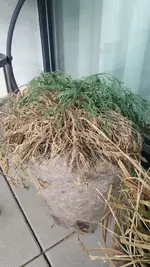20190301_145452.webp