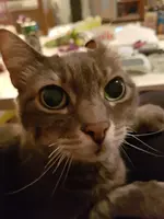 20190301_231121.webp
