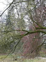 P1110960.webp