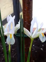 P1050336.webp