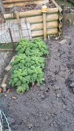 20190228_170302.webp