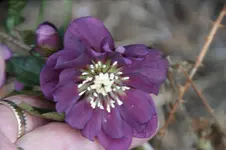 DSC07476.webp