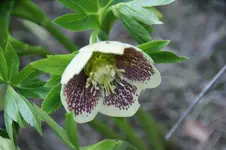 DSC07482.webp
