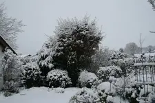Winter4318.webp
