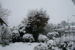 Winter4318.JPG